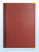 Diaries
